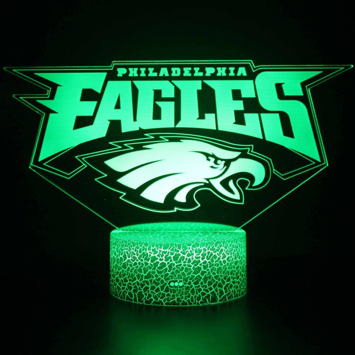 Philadelphia eagles outdoor decor